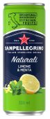 San Pellegrino Naturali Limone &amp; Menta 