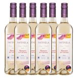 Marques De Caceres Satinela Semi-dulce Rioja 6 X 0,75l Kast 