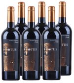 Asio Otus Cabernet Merlot Shiraz 6 X 0.75l Kast 