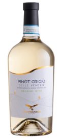 Image for Campagnola Pinot Grigio Venezie Organic Igt