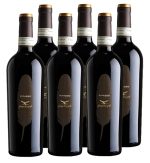 Campagnola Valpolicella Ripasso Classico Superiore 6 X 0,75l Kast 