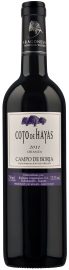 Coto De Hayas Crianza Aragon 