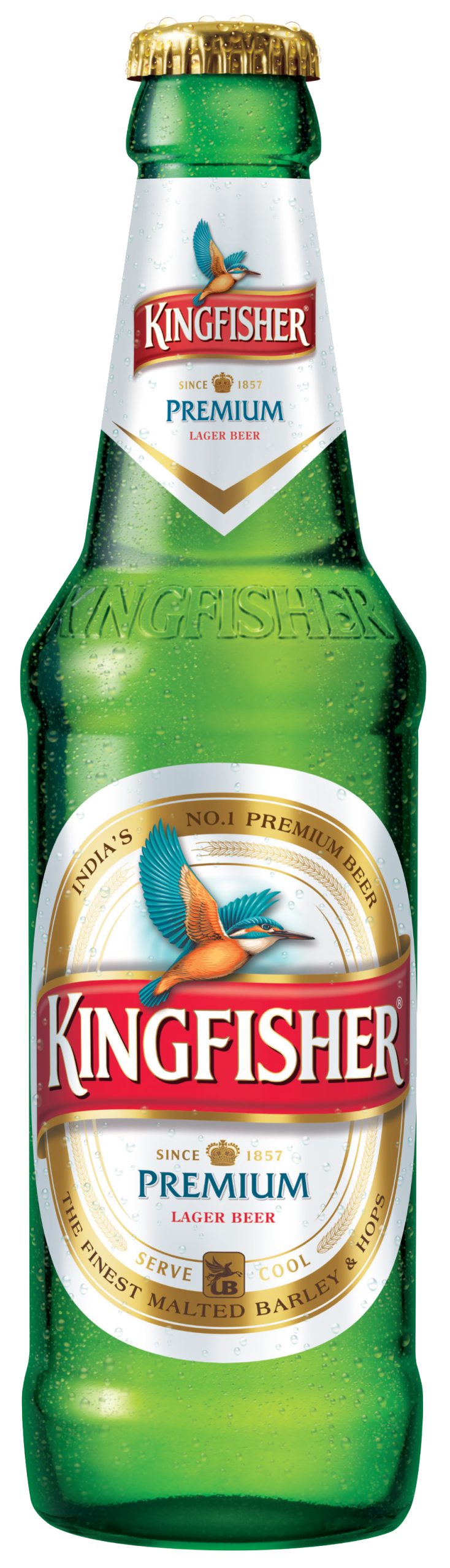 Kingfisher Premium Beer | Alcostore