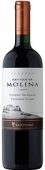 Castillo De Molina Reserva Cabernet Sauvignon 