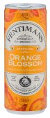 Image for Fentimans Orange Blossom Lemonade